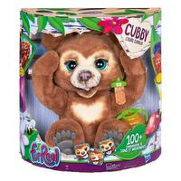 Cubby l’ours curieux