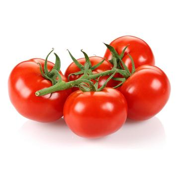 Tomates grappe FLANDRIA